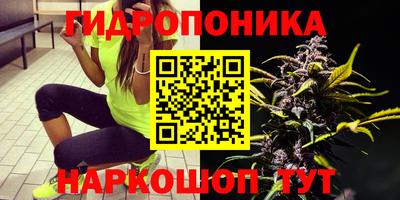 твердый Малоярославец